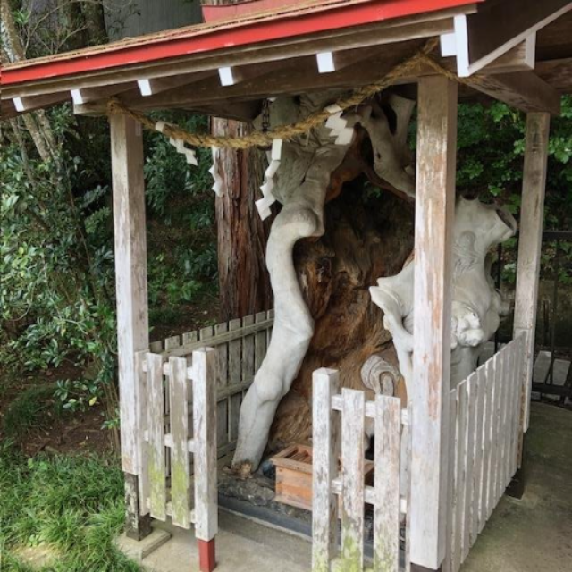 蛇神社②